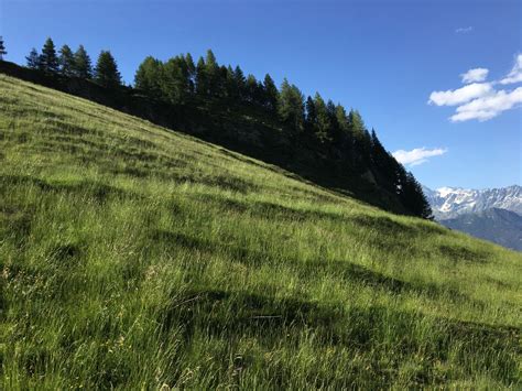 Kim French on Twitter: "There's not a day that I don't wonder at this.…