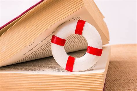 An Image Of A Nut Nestled Inside A Book Vector, Sheet, Note, Teaching