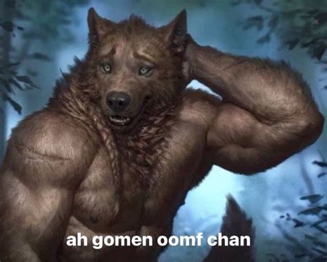 alpha wolf meme | Memes, Wolf meme, Really funny pictures