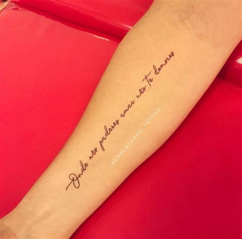 Frase Com A Palavra Tatu