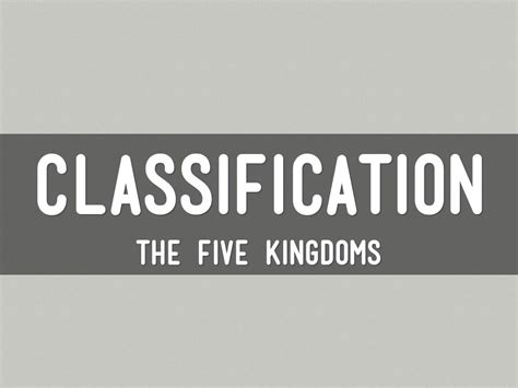 kingdoms  javi munoz