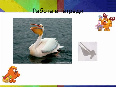 Животное – живое существо - презентация онлайн