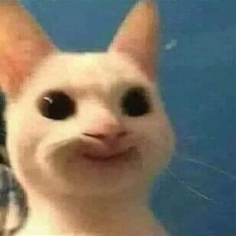 Meme xịn에 있는 핀