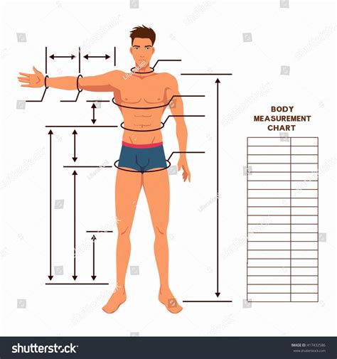 Male Body Measurement Chart Scheme Measurement Stock Vector (Royalty