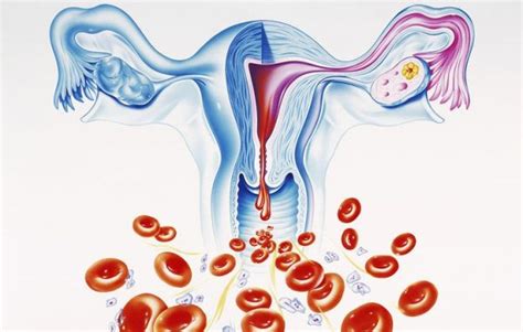 Njihuni me zakonet që dëmtojnë vaginën | GAZETA SHËNDETI