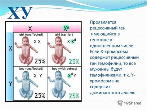 Презентация на тему: "Генетика пола. Наследование, сцепленное с полом ...