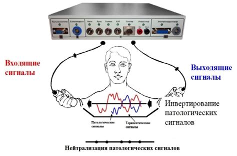Аппарат биорезонансной терапии – уничтожение патогенов и восстановление ...