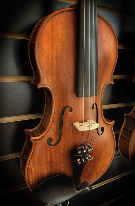 Local musicians are sharing which nearby instrument stores are best 3