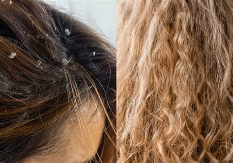 how to deal with low porosity hair