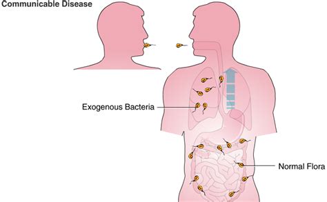 Basic Bacteriology: Transmission