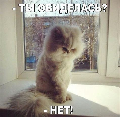 Лучшие картинки