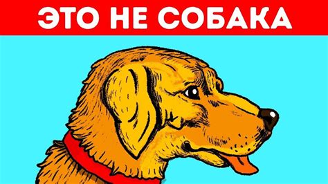 11 Оптических Иллюзий, Которые Обманут Ваши Глаза | Оптические иллюзии ...