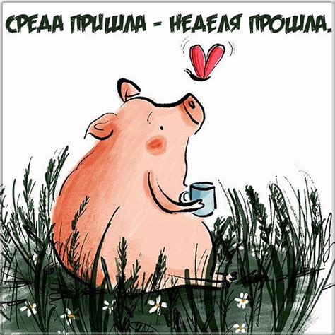 Про среду прикольные картинки, смешные открытки и гифки