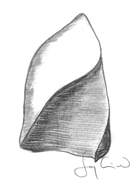 diffuse swelling diffuse involvement    lobe  left lung