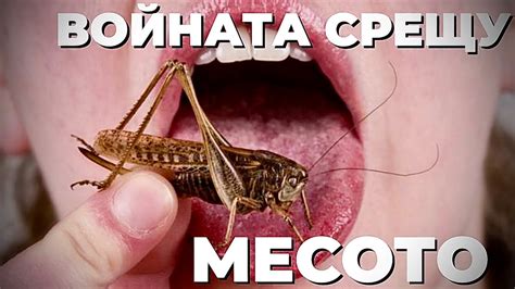Искат ли да ни накарат да ядем насекоми? Отговаря Георги Драганов при ...