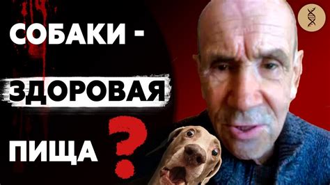 ДЕД ЕСТ СОБАК! СОБАКИ — ЗДОРОВАЯ ПИЩА? - YouTube