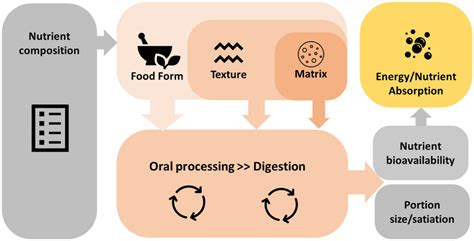 Schematic illustration of the different levels of food structure (food ...