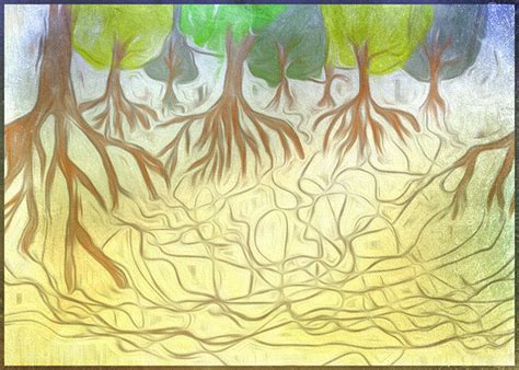 The Wood Wide Web | The Everyday Artist
