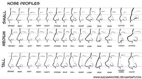 Nose Chart Reference by macawnivore on DeviantArt