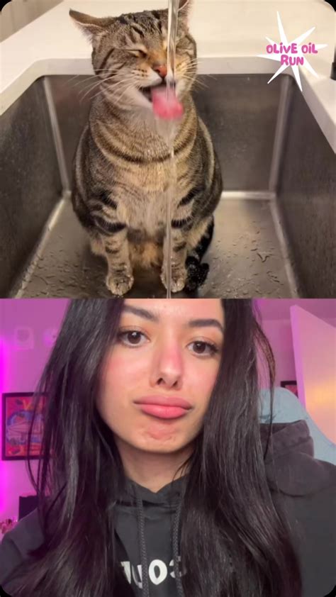 OliveOilRun (@oliveoilrun) • Instagram photos and videos