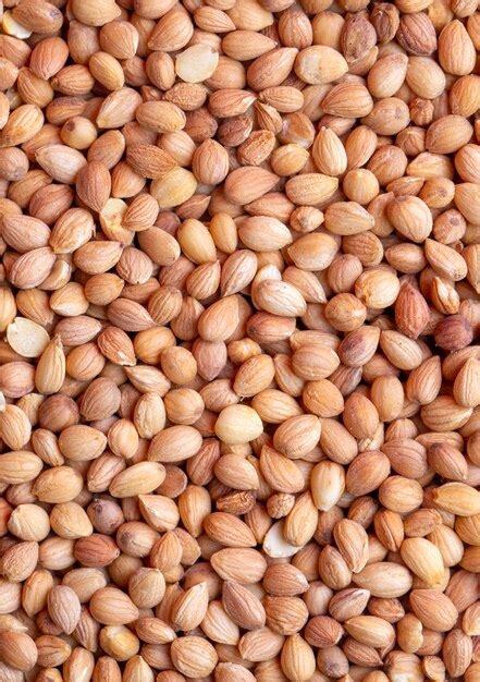 Premium Photo | Mahlep, Mahlab or Mahaleb seeds isolated on white ...