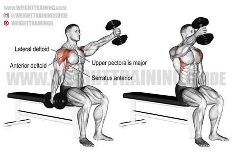 Seated alternating dumbbell front raise exercise instructions and video