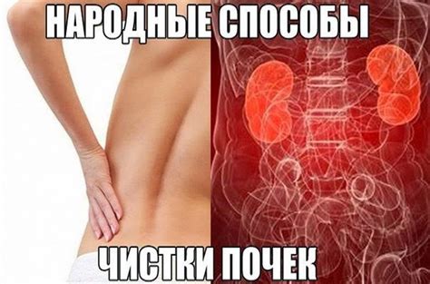 Всё самое интересное!: народный способ очистки почек