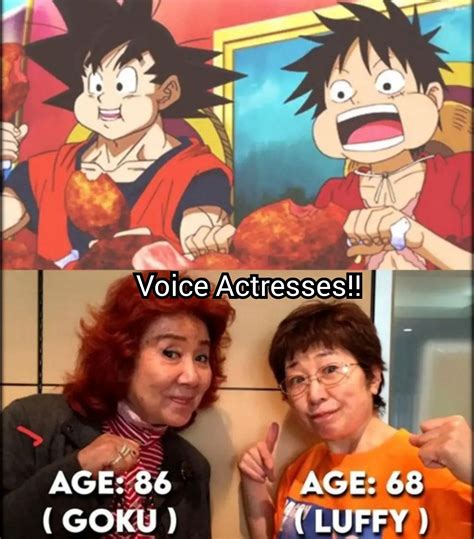 Dragon One Piece Memes