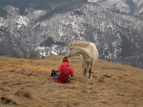 Stolovi hiking | Explore Serbia – Adventure tourism