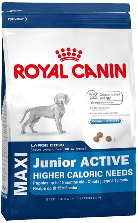 Корм для собак Роял Канин (Royal Canin): отзывы, состав, цены