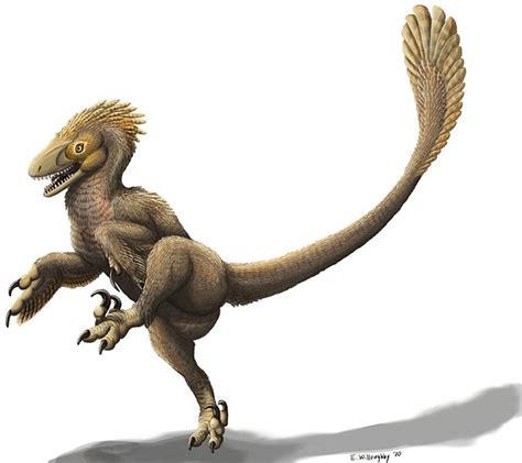 En-Uk's Animal Blog: Balaur
