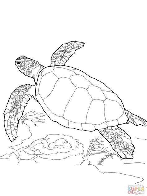 Traceable Drawing at GetDrawings | Free download