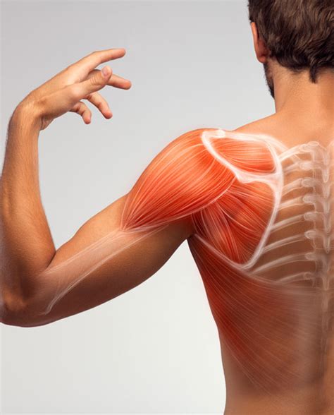 Advanced Orthopaedics