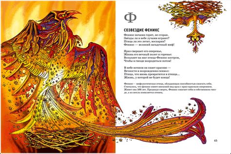 Star book - Book Graphics