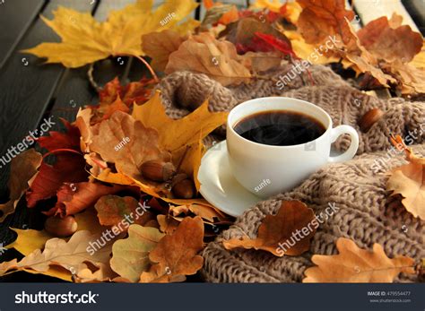 fall coffee   royalty  licensable stock