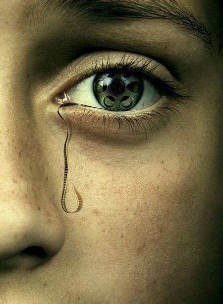OddFuttos, When The Photos Speak: Amazing Unusual Photos