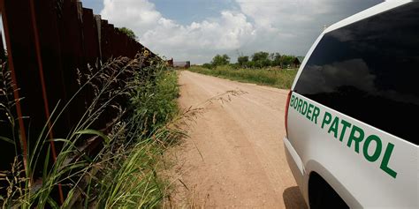 Texas Is Using French Wasps to Kill Invasive Bamboo | Inverse