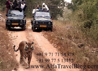 Alfa Tours And Travels Online Travel Agency