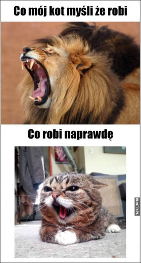 20+ memów - co mysle ze robie najlepsze śmieszne memy i demotywatory ...