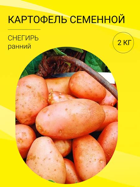 Картофель картофель на посадку 2 кг - купить по выгодным ценам в ...