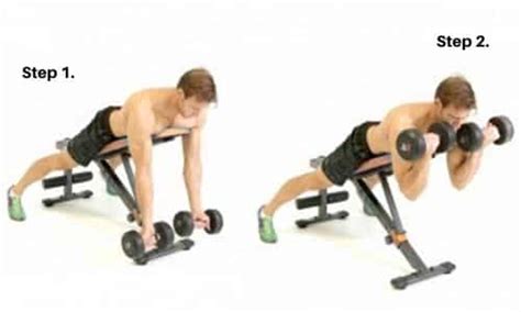 Spider Curl | Exercise Database | Muscle Maker Supplements