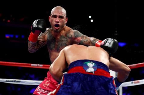boxing cotto bows   boxing  loss  ali