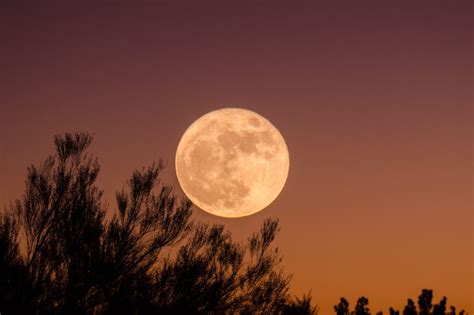 Full Moon & Yoga | LexiYoga