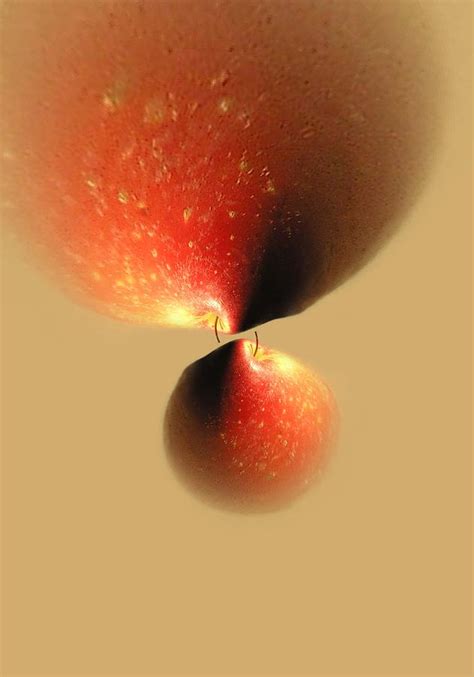Transformed Gardens - Transform Apple Digital Art by Miroslaw Rogala ...