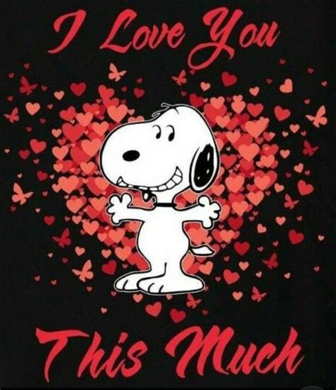 Pin by Susan Stewart 🦋 on snoopy holidays | Snoopy i love you, Snoopy ...