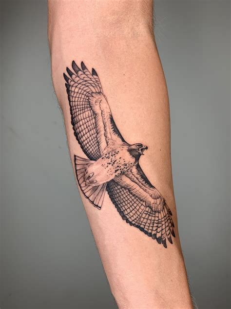 Red Tail Hawk Tattoo