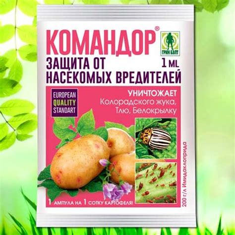 Картофель: обработка клубней перед посадкой от колорадского жука, чем ...