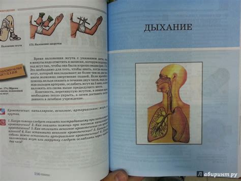 Книга: Биология. Человек и его здоровье. 9 класс. Учебник. ФГОС ...