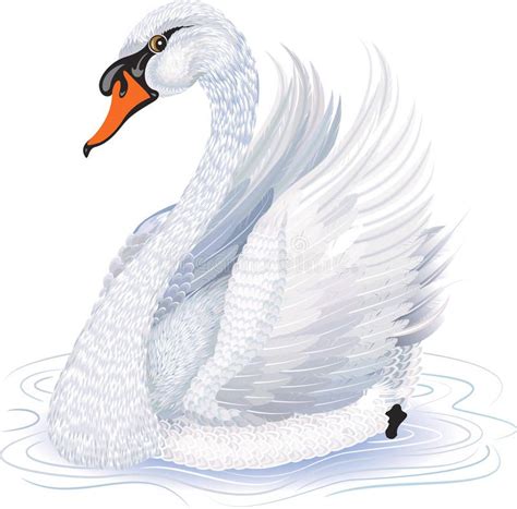 Graceful White Swan Illustration