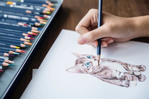 What are some of your favorite hobbies? | Beautiful flower drawings ...